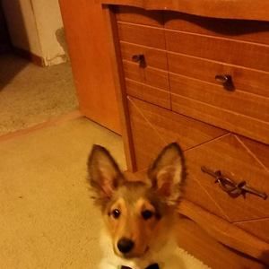 Meet your Posher, Mike